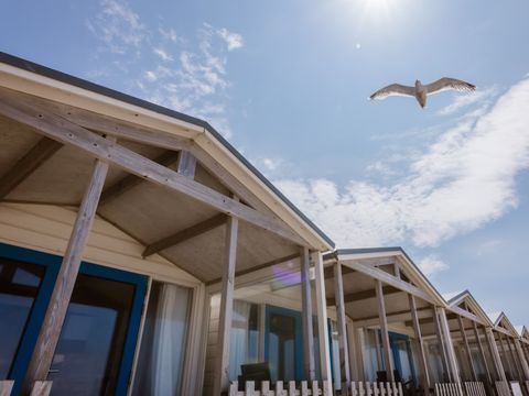 Landal Strandhuisjes Wijk aan Zee - Camping Beverwijk - Image N°2