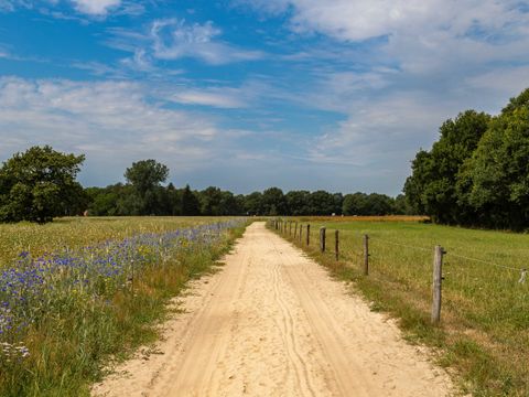 Camping de Kleine Wereld - Camping Ommen