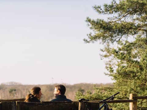 Woodz Lodges  - Camping Limburg Belge - Image N°16