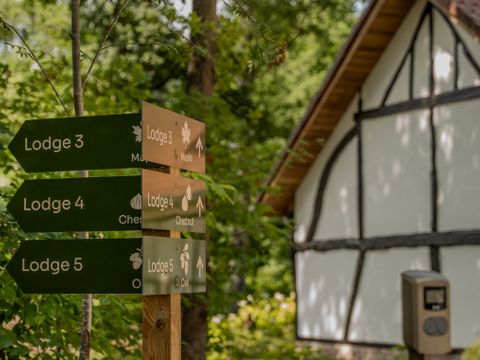 Woodz Lodges  - Camping Limburg Belge - Image N°12