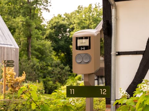 Woodz Lodges  - Camping Limburg Belge - Image N°11
