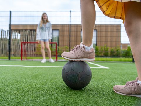 Landal de Wedderplassen - Camping Westerwolde