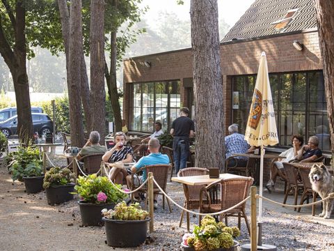 Camping Zavelbos - Camping Limburg Belge