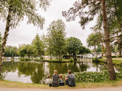 Camping Zavelbos - Camping Limburg Belge