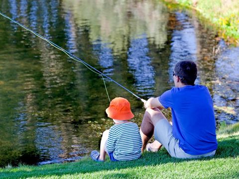 Camping Zavelbos - Camping Limburg Belge - Image N°4