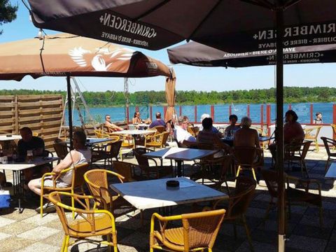 Camping de Binnenvaart - Camping Limburg Belge - Image N°2