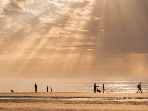 MarinaPark Residentie Bloemendaal - Camping Bloemendaal - Image N°2