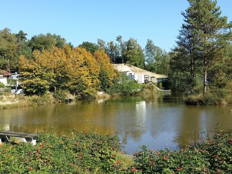 Wilsumer Berge - Camping Basse-saxe - Image N°28