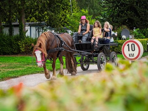 Arden Parks Tulderheyde - Camping Anvers - Image N°22