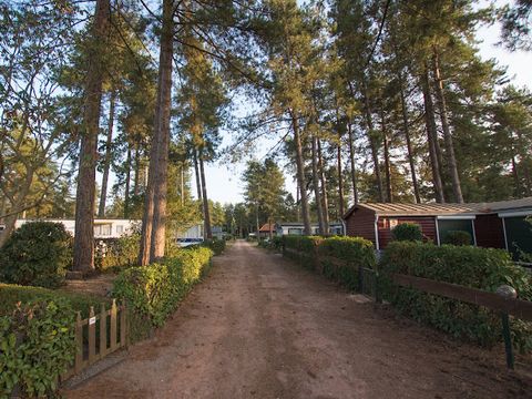 Arden Parks Tulderheyde - Camping Anvers