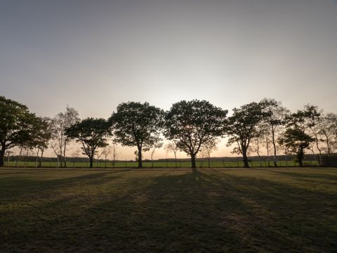 Arden Parks Tulderheyde - Camping Anvers - Image N°12