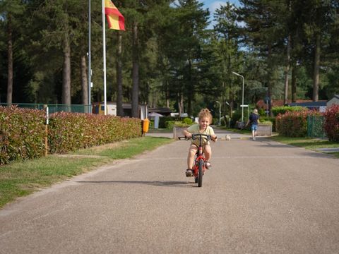 Arden Parks Tulderheyde - Camping Anvers - Image N°5