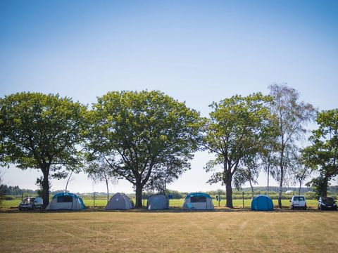 Arden Parks Tulderheyde - Camping Anvers - Image N°5