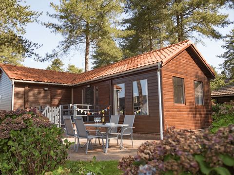 Arden Parks Tulderheyde - Camping Anvers - Image N°2