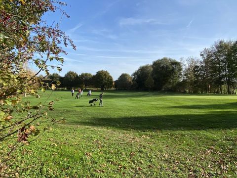 Villapark de Hondsrug - Camping Borger-Odoorn - Image N°5