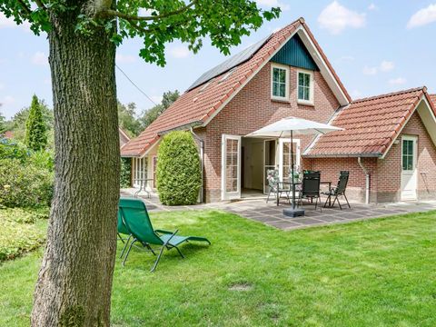 Drentse Vennen - Camping Noordenveld - Image N°5