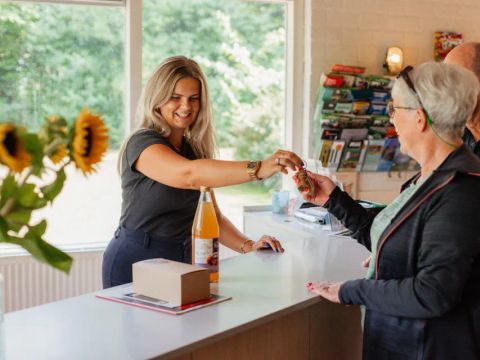 Drentse Vennen - Camping Noordenveld - Image N°2