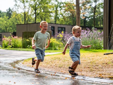 TopParken Resort de Brabantse Kempen - Camping Reusel-De-Mierden - Image N°18