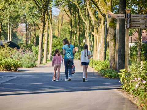 TopParken Resort de Brabantse Kempen - Camping Reusel-De-Mierden - Image N°26