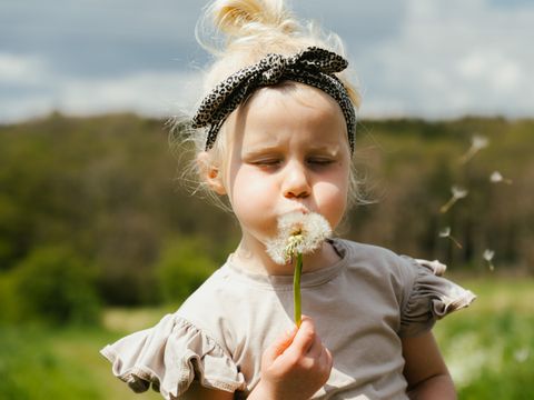 Camping Liefrange - Camping Luxembourg