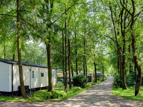 Vodatent Camping het Veen - Camping Flandre Occidentale