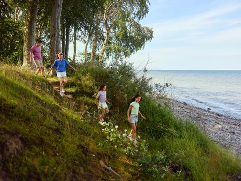 Center Parcs Nordborg Resort - Camping Danemark du Sud - Image N°41