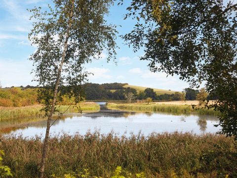Center Parcs Nordborg Resort - Camping Danemark du Sud - Image N°45