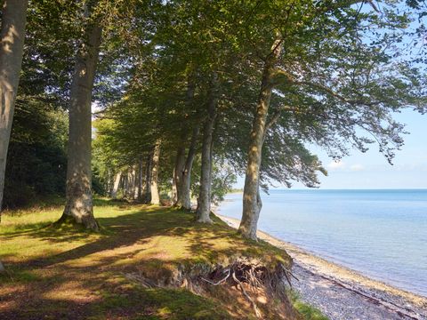 Center Parcs Nordborg Resort - Camping Danemark du Sud - Image N°53