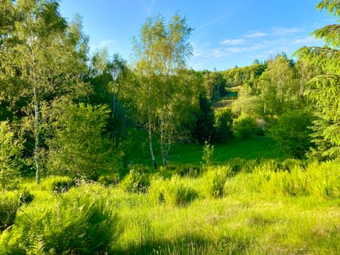 Vodatent Tolne Camping - Camping Jutland du Nord - Image N°5