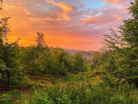 Vodatent Tolne Camping - Camping Jutland du Nord - Image N°2