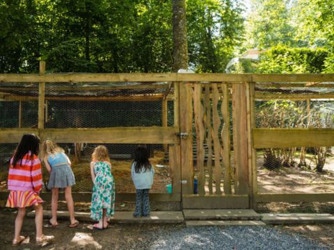 Vodatent Camping De Chênefleur - Camping Luxembourg - Image N°3