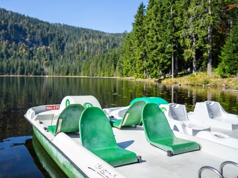 Landal Arber - Camping Bavière - Image N°2