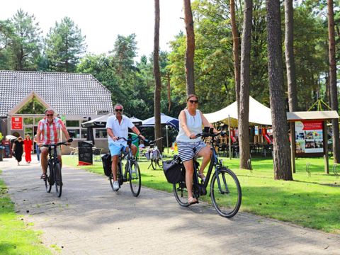 Camping Kempen - Camping Flandre Occidentale