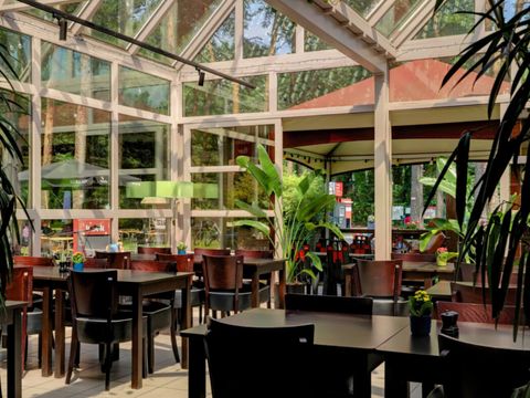 Camping Kempen - Camping Flandre Occidentale - Image N°3