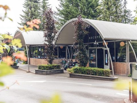 Veluwepark de Bosgraaf - Camping Apeldoorn - Image N°8