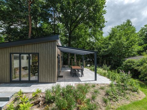 Veluwepark de Bosgraaf - Camping Apeldoorn - Image N°37