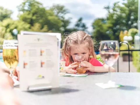 Veluwepark de Bosgraaf - Camping Apeldoorn