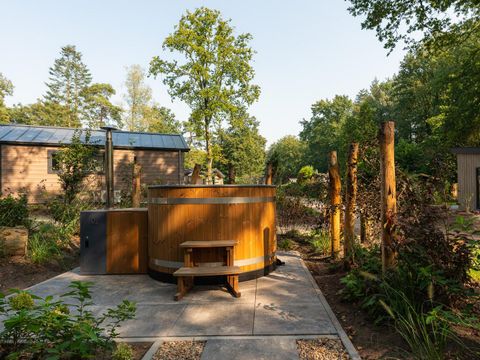 Veluwepark de Bosgraaf - Camping Apeldoorn - Image N°2
