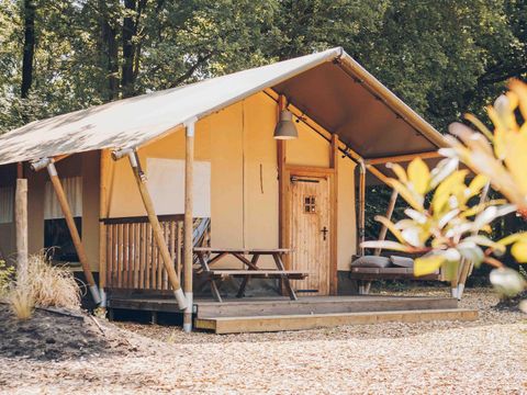 Veluwepark de Bosgraaf - Camping Apeldoorn - Image N°3