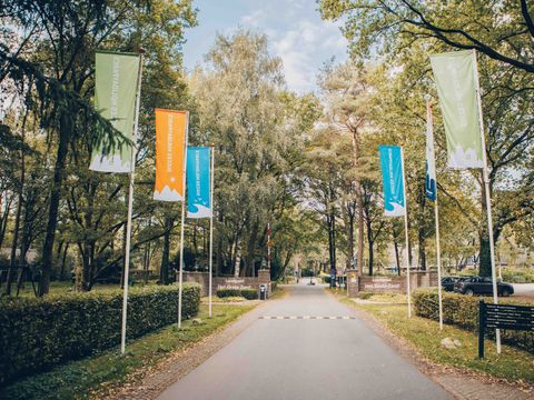 Landgoed Het Grote Zand - Camping Midden-Drenthe - Image N°4