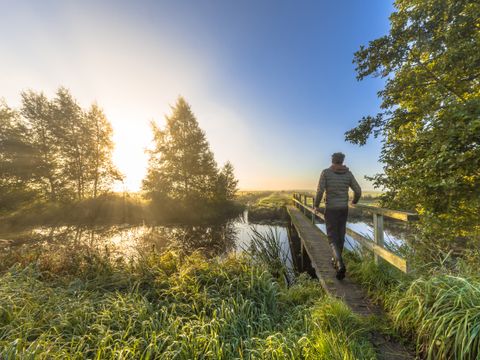 Landgoed Het Grote Zand - Camping Midden-Drenthe - Image N°23