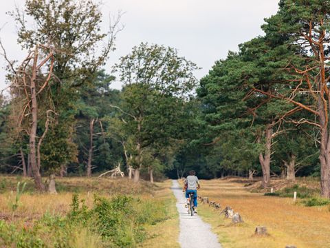 Landgoed Het Grote Zand - Camping Mitte-Drenthe