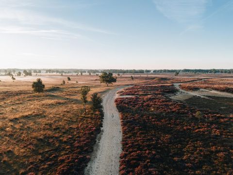Landgoed Het Grote Zand - Camping Midden-Drenthe - Image N°24