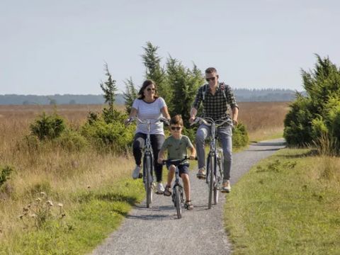 Buitenplaats de Hildenberg - Camping Ooststellingwerf - Image N°5