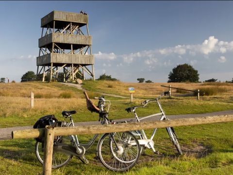 Buitenplaats de Hildenberg - Camping Ooststellingwerf - Image N°2