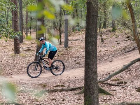 Buitenplaats de Hildenberg - Camping Ooststellingwerf