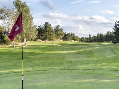 Buitenplaats de Hildenberg - Camping Ooststellingwerf - Image N°4