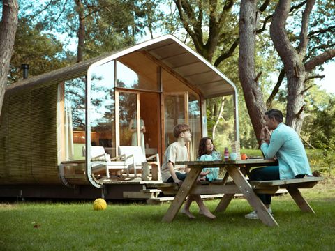 Beerze Bulten - Camping Ommen - Image N°2