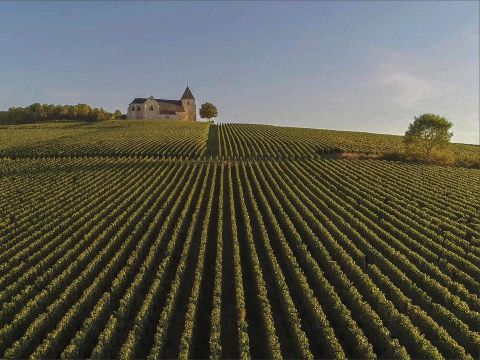 Arden Parks Signy-L'Abbaye - Camping Ardennes - Image N°5