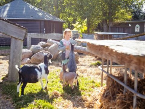 Vodatent Rosenvold Strand Camping - Camping Jutland-Central - Image N°2